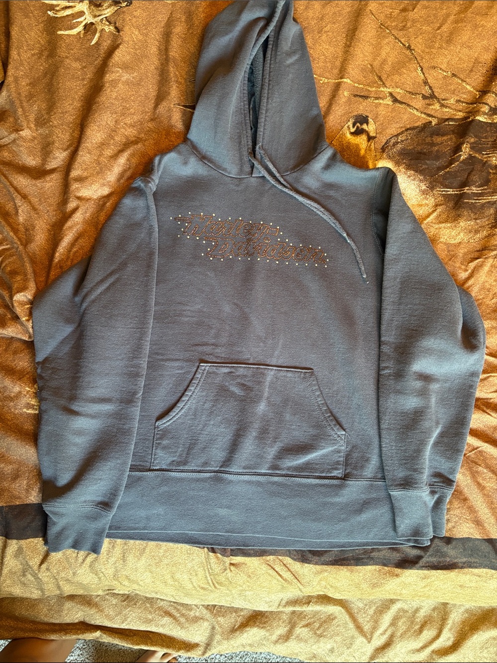Harley-Davidson Blue Hooded Sweatshirt with Studded Script